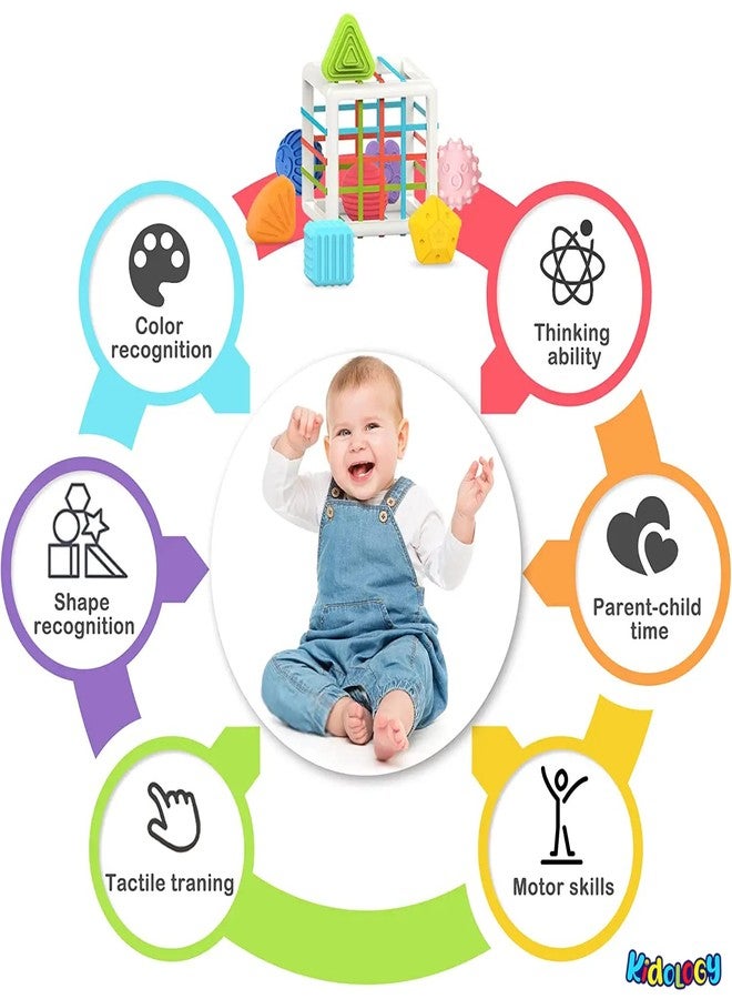 Kidology Baby Shape Sorting Toy | Montessori Sensory Toys with 6 Pcs Blocks Colorful Cube for Kids | Shape Sorting Bin with Elastic Bands Fine Motor Skill Early Learning Preschool Educational Blocks - Image 4
